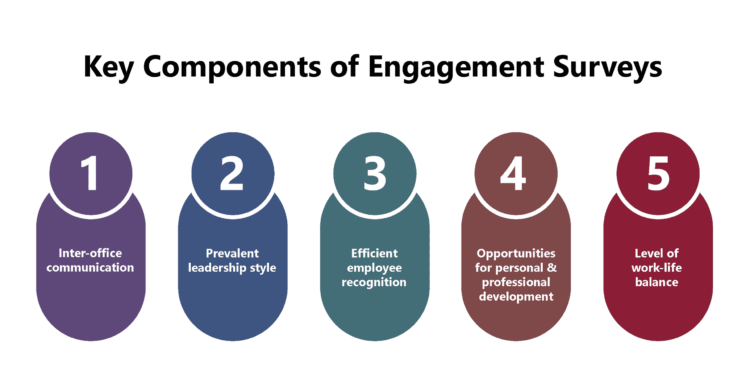 Key Aspects of Employee Engagement Surveys