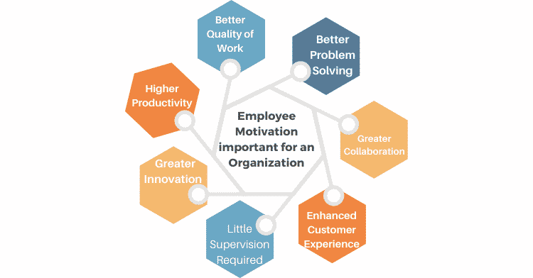 Why is Employee Motivation important for an Organization